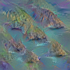 n09399592